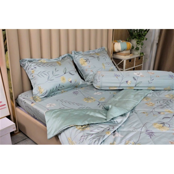 Bộ Drap Giường TENCEL 3 Món Chun Bọc 1m6 V603C6007