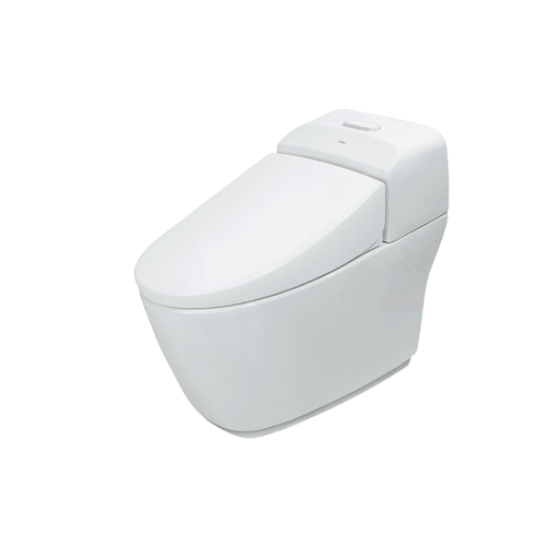 Bàn Cầu 1 Khối INAX AC-1032VN