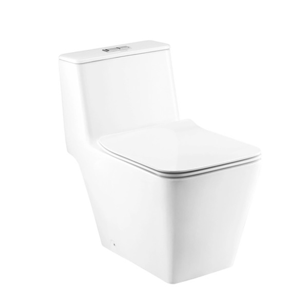 Bồn Cầu Một Khối COTTO - C10327