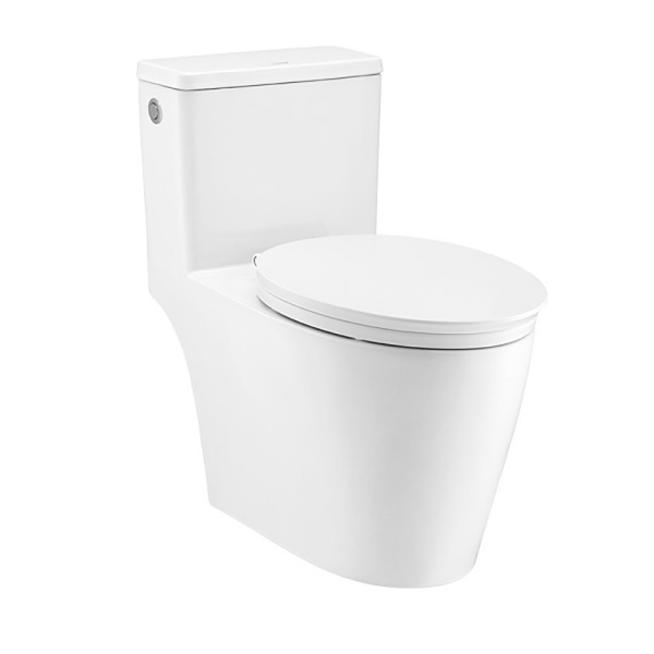 Bồn Cầu Một Khối COTTO - C110517