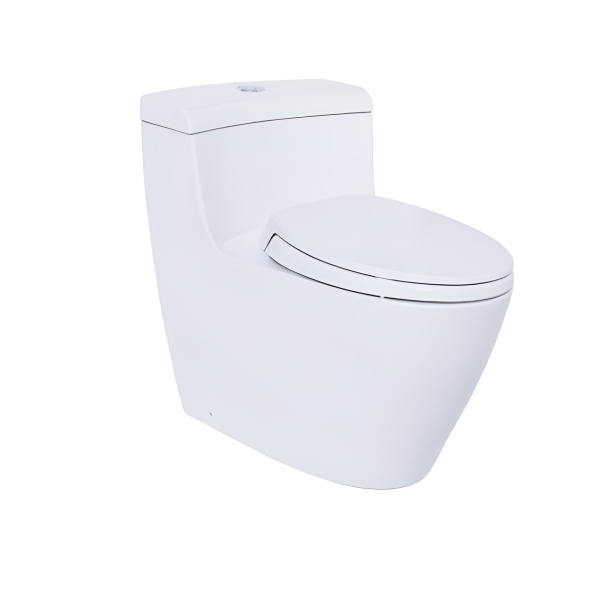 Bồn Cầu Một Khối TOTO - MS636DT2